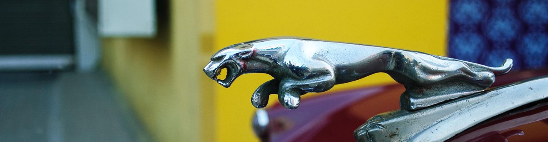 Website-Header-15 jagur